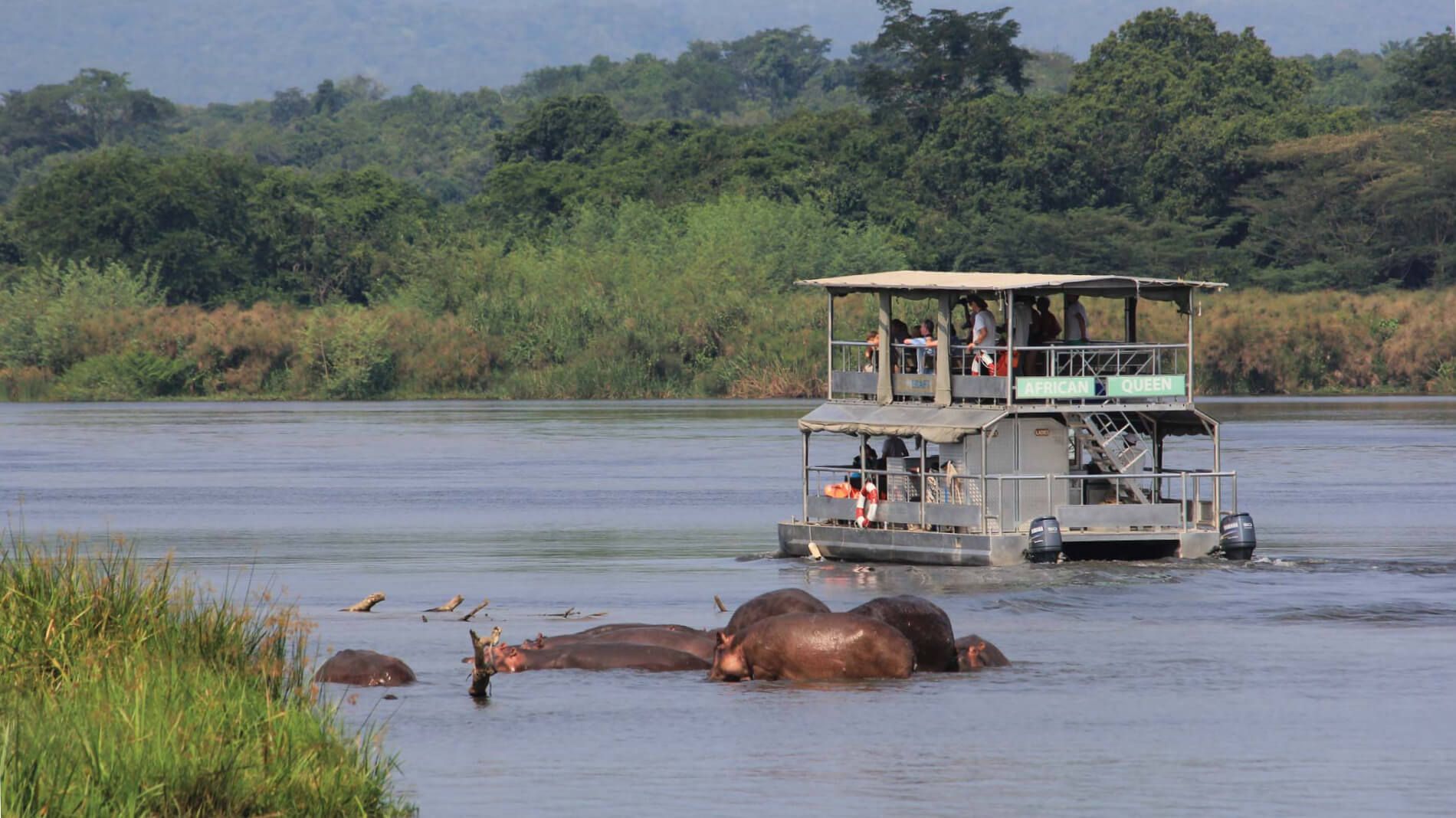 Ugandan safari