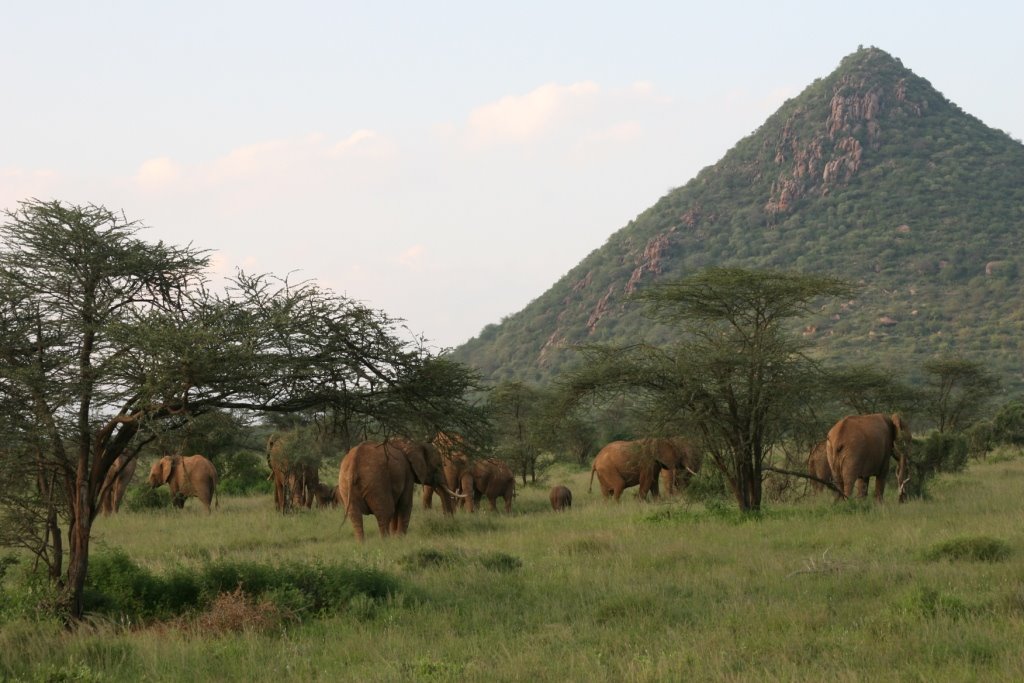 Samburu National Park